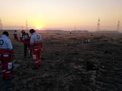 11 граждан Украины погибли в результате крушения самолёта МАУ в Иране