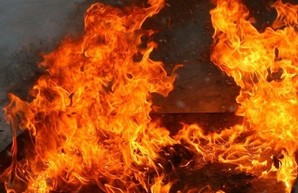 В Одесской области на пожаре погиб мужчина, а ребёнок получил ожоги