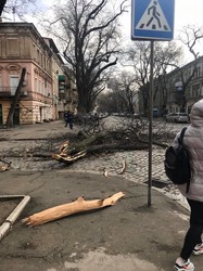 Над Одессой бушует ураган: погибшая женщина, сорванные крыши и поваленные деревья (ФОТО)