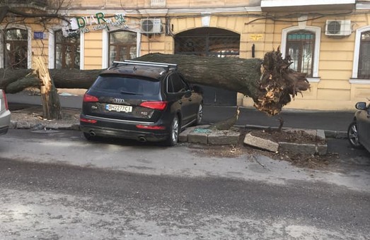 400 деревьев и 224 населенных пункта без света: итоги одесского урагана "Юля"