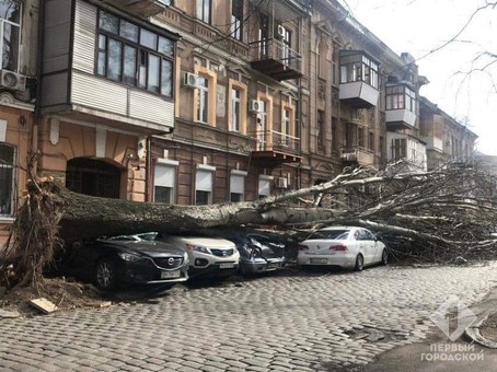 Глава Одесской ОГА рассказал, где находился во время урагана «Юля»