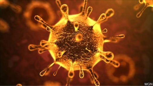 В Украине за сутки выявили почти 400 заболевших коронавирусом, 1 из них - в Одесской области