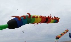 Фестиваль воздушных змеев прошел в Одесской области