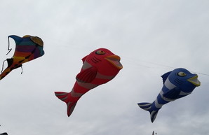 Фестиваль воздушных змеев прошел в Одесской области