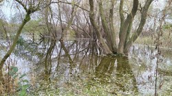 Масштабный потоп в Одесской области: Барабойское водохранилище вышло из берегов (ФОТО)